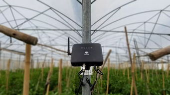 農業物聯網的基礎與核心 網絡工程的視角